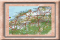 Carte-Algerie001.jpg